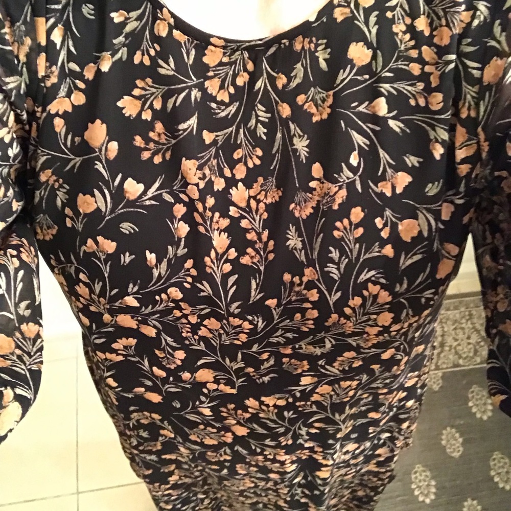 Georgette Sheer Brown Print dress.